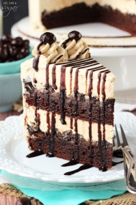 Mocha_Brownie_Ice_Cream_Cake13